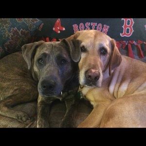 Meet your Posher, Barbara